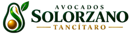 Avocados Solorzano