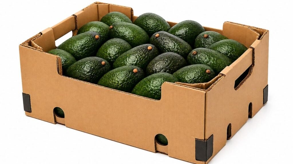 Aguacate Hass Super Extra